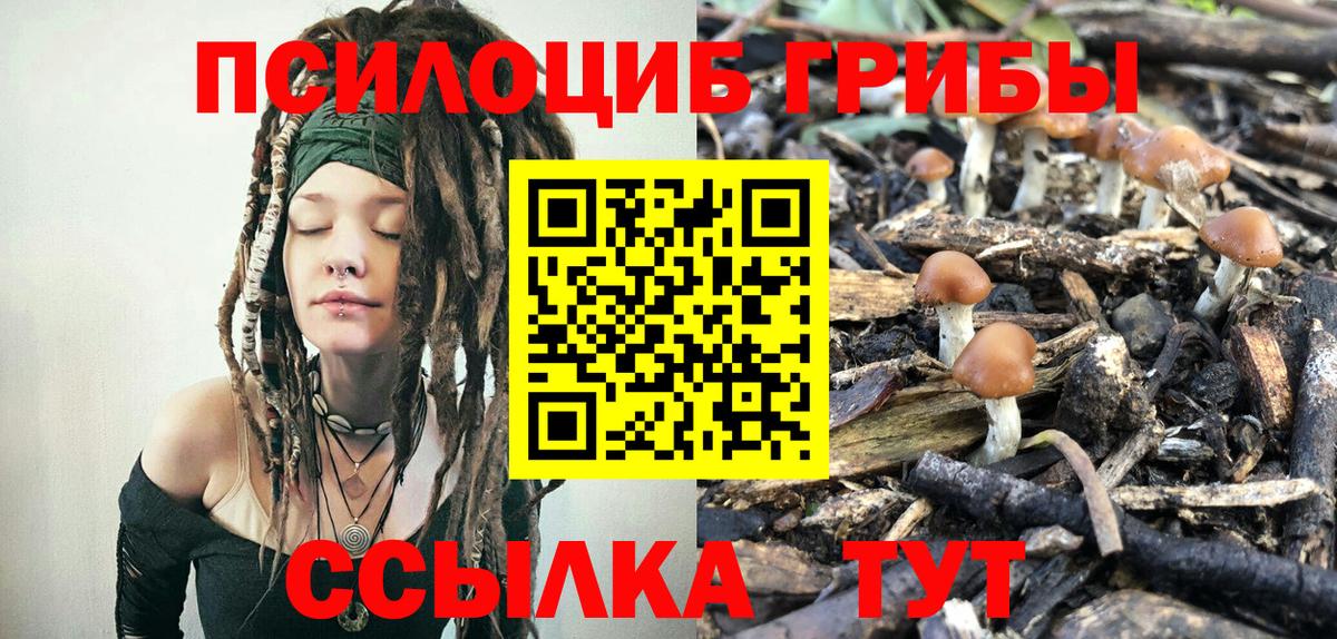 Пыть-Ях  Псилоцибиновые грибы Psilocybe  Вход с VPN 